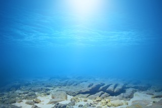 Thumbnail of post image 006