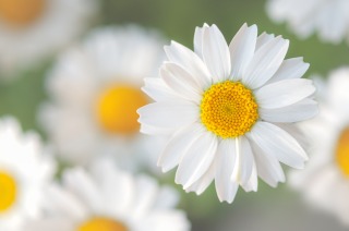 Thumbnail of post image 016