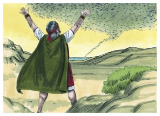 Thumbnail of post image 188