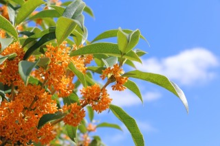 Thumbnail of post image 083