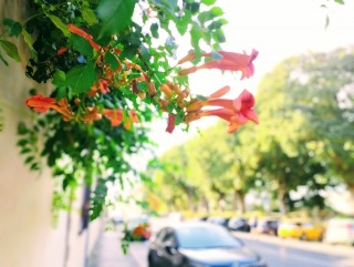 Thumbnail of post image 181