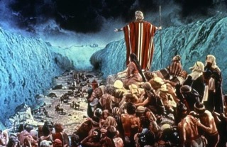 Thumbnail of post image 088