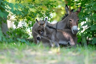 Thumbnail of post image 032