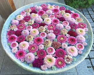 Thumbnail of post image 083