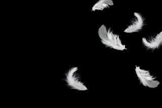 Thumbnail of post image 103