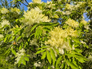 Thumbnail of post image 200