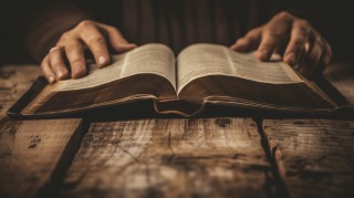 Thumbnail of post image 101