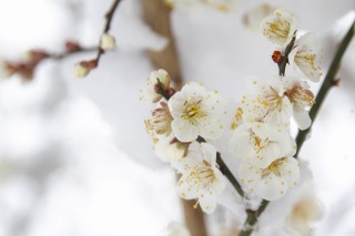 Thumbnail of post image 188