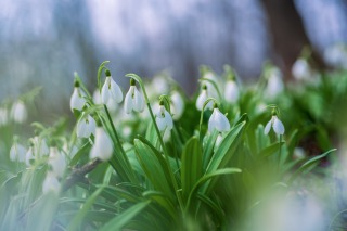 Thumbnail of post image 125