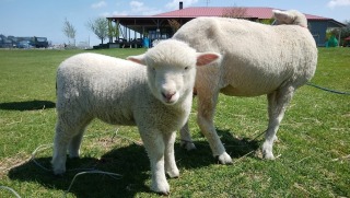 Thumbnail of post image 154