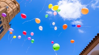 Thumbnail of post image 053