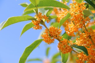 Thumbnail of post image 058