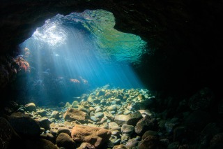 Thumbnail of post image 130