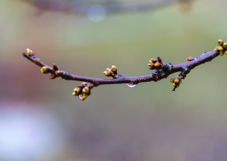 Thumbnail of post image 124