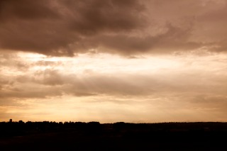 Thumbnail of post image 114