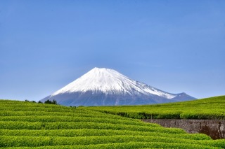 Thumbnail of post image 114
