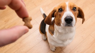 Thumbnail of post image 023