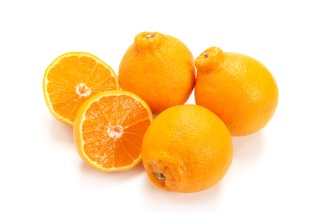 Thumbnail of post image 078