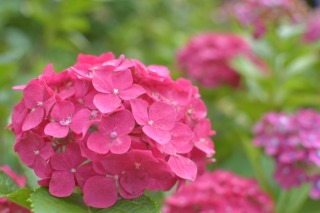 Thumbnail of post image 127