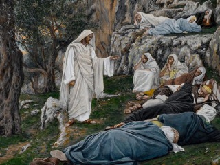 Thumbnail of post image 031