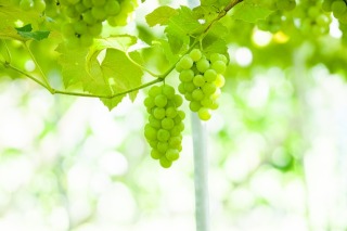 Thumbnail of post image 097