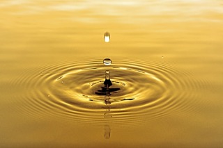 Thumbnail of post image 071